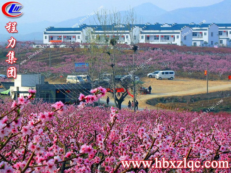 沒有三生三世，但有十里桃花——湖北程力集團(tuán)小編帶你去看十里桃花